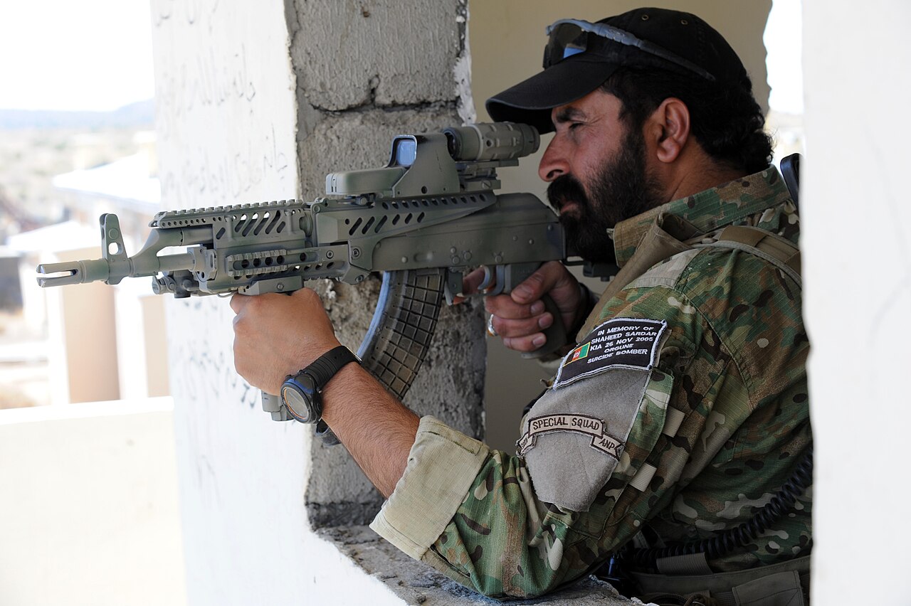 Weapon Customization