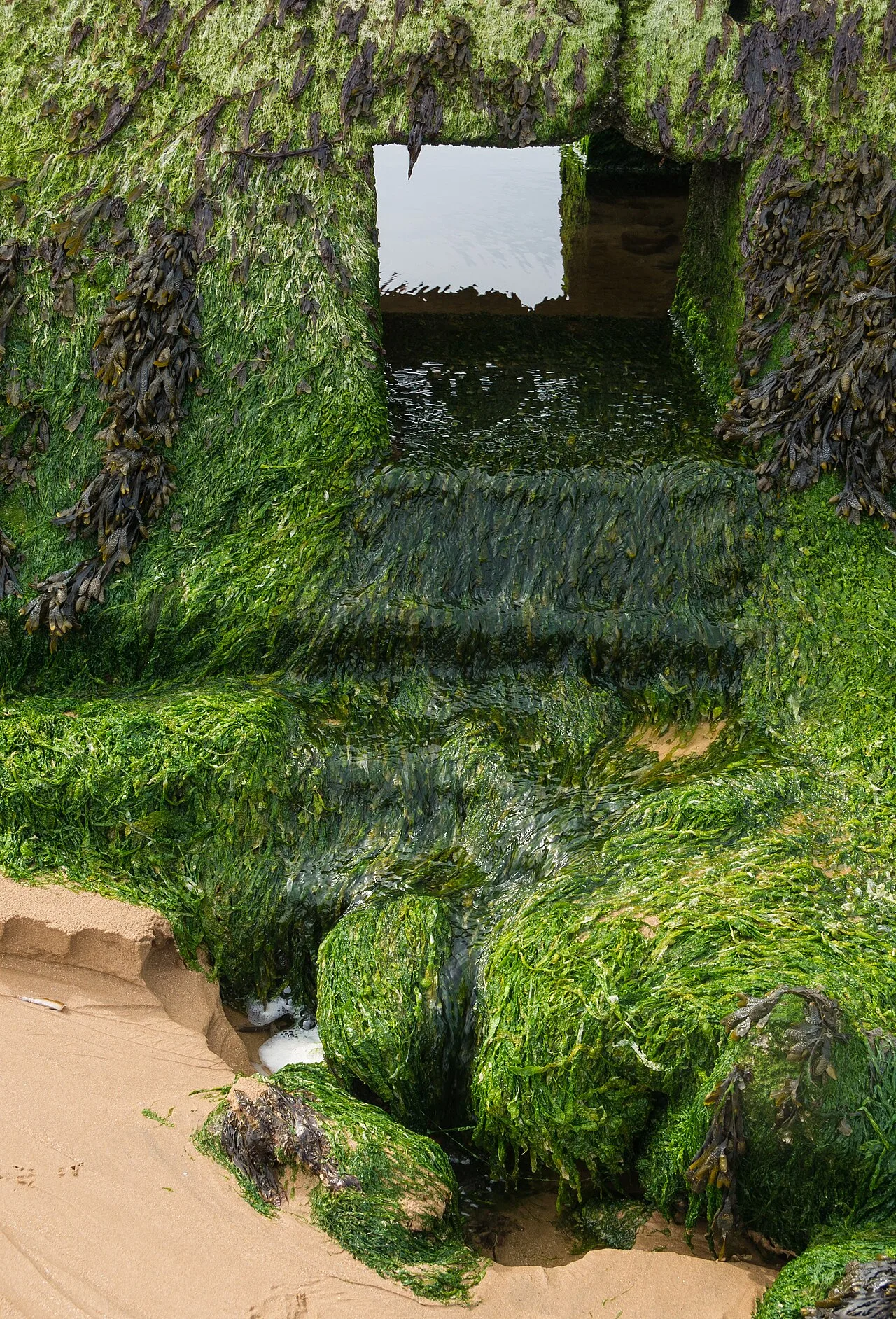 Omaha Beach