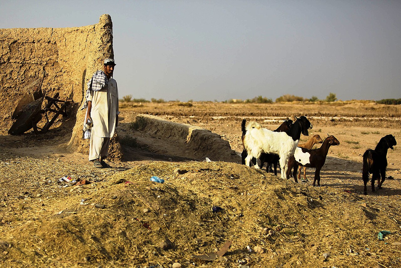 Helmand Province