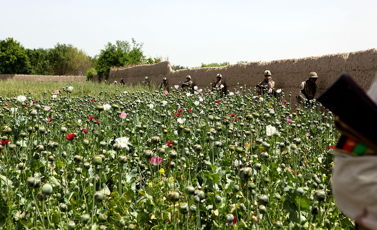 Helmand Province