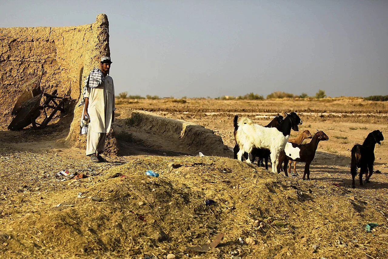 Helmand Province